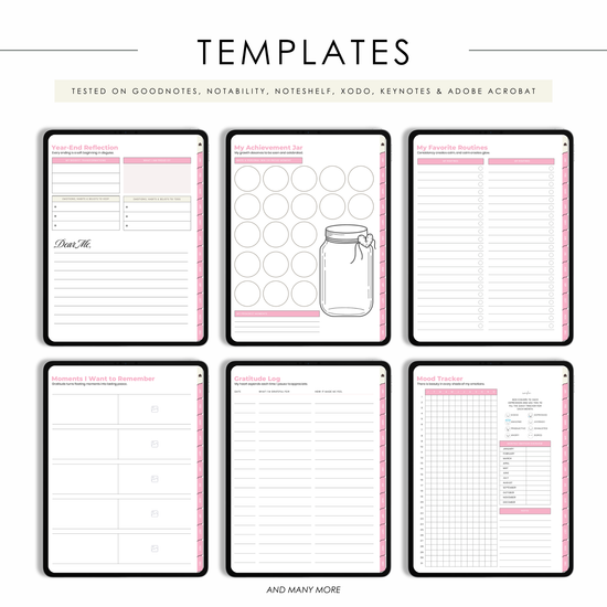 Skin and Soul Journal beauty tracking sections